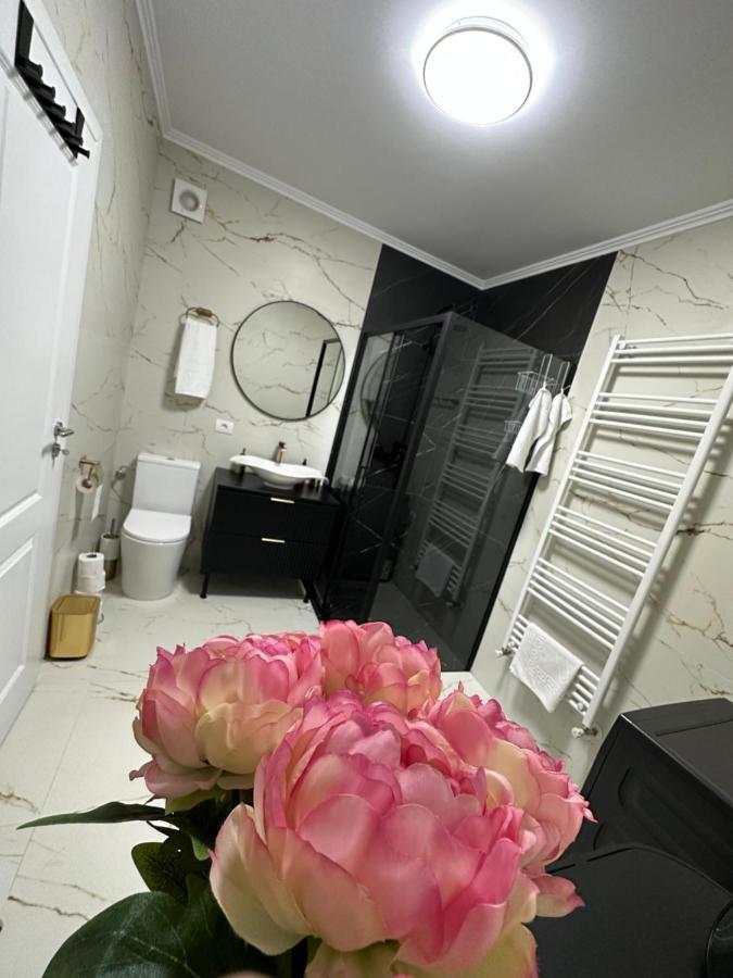 Apartament Bisera Temešvár Exteriér fotografie